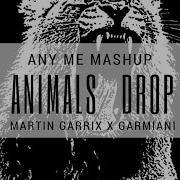 Animals Drop Any Me Mashup Martin Garrix X Garmiani