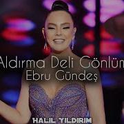 Aldirma Deli Gonlum Remix