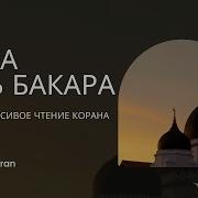 Аль Бакара Красивое Чтение