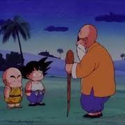 Master Roshi