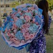 Хусайн Израпов Жима Дог