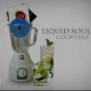 Liquid Soul Devotion Protoculture Remix