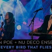 Nu Deco Ensemble Every Bird That Flies Live In Concert