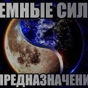 Гипнотолог Никита Белых