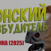 Ауди Наркотик Коннский Возбудитель