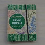 Sketchbook Рисуем Цветы Экспресс Курс Быстрый Обзор