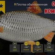 Русская Рыбалка 4 Russian Fishing Карта Комариное