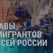 В Перербурге Мигрантов Стало На 60 Меньше