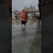 Ба Ба Ба Тикток