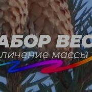 Саблиминал Чтобы Набрать Вес