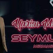 Seymur Memmedov Yarim Menim 2022 Official Audio