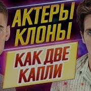 Друг На Друга Похожи Как Две