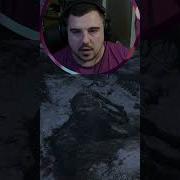 Цигани Викрали Коня Що Це За Х Йня