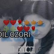 Dil Ozori