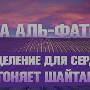 Чтение Суры Аль Фатиха 7 Раз Изгоняет Шайтанов Слушать Фатиха Коран