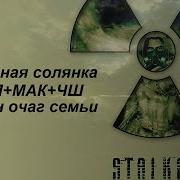 Сталкер Народная Солянка Ооп Мак Чш Аддон Очаг Семьи 2