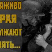 Ханс Фон Люк На Острие Танкового Клина Воспоминания Офицера Вермахта 1939 1945