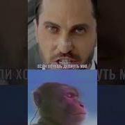 Если Хочешь Депнуть Мне