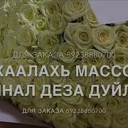 Маьр Йиша Дала Декъал Йойла