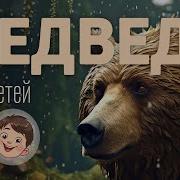Животные Для Детей Медведи