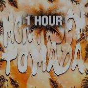 Montagem Tomada 1H