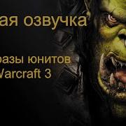 Фразы Юнитов Warcraft 3