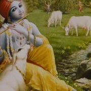 Beautiful Bhajan Shri Krishna Govind Om Namoh Bhagavate Vasudevayah