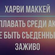 Как Плавать Среди Акул И Не Быть Съеденным