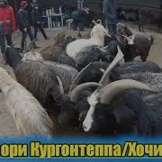 Мол Бозори Бохтар Хочи Шариф 05 01 2020 Нархои Буқа Гуспанд Буз