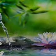 3 Часа Музыка Для Сна Звуки Воды